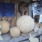 DSC03638.jpg