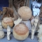 DSC03639.jpg